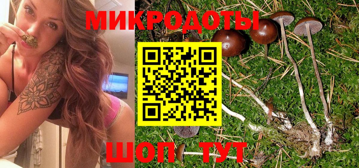 Галлюциногенные грибы прущие грибы Гагарин