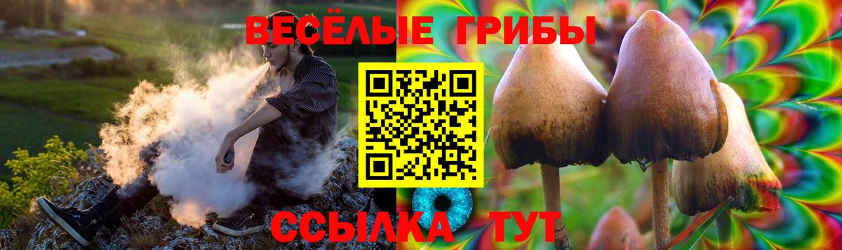 Галлюциногенные грибы Psilocybe  Псилоцибиновые грибы мицелий  Вход с VPN  Гагарин 